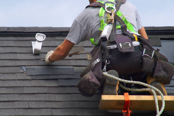 Best Flat Roof Repair Services  in Wacousta, MI
