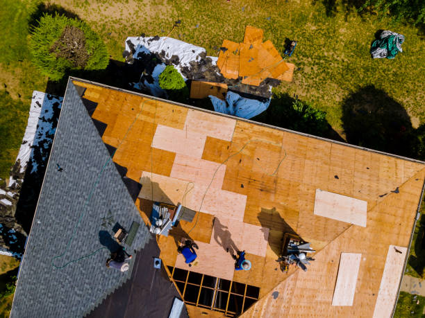 Best Shingle Roofing Installation  in Wacousta, MI
