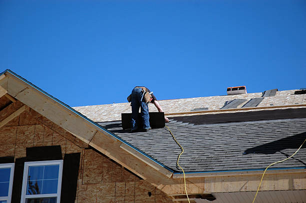 Best Roof Restoration Services  in Wacousta, MI