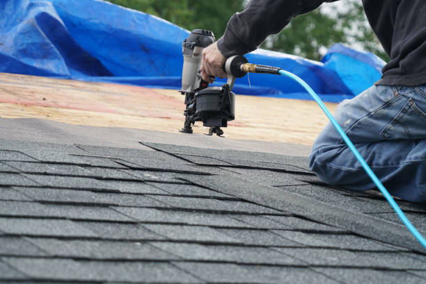 Best New Roof Installation  in Wacousta, MI