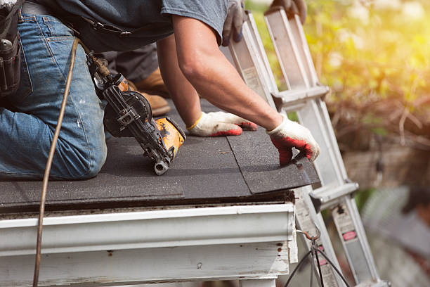Professional Roofing Contractor in Wacousta, MI