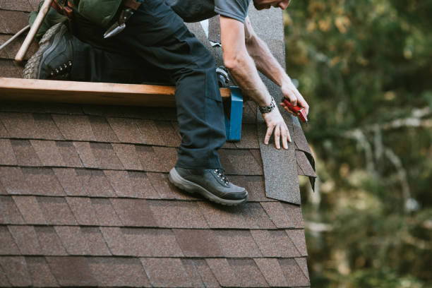 Best Best Roofing Contractors  in Wacousta, MI